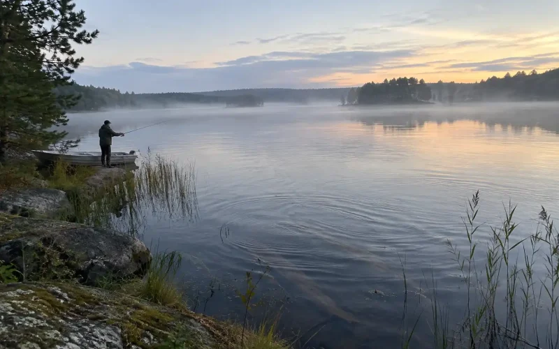 Ensam fiskare kastar spinnare vid en lugn skogssjö i gryningsljus, bästa tiderna att fånga abborre.