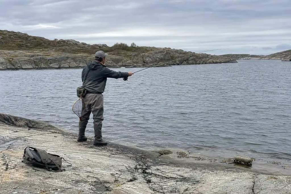 Person i vadarbyxor kastar flugspö vid klippig kust en höstdag, tema vilka köder vi använder i september 2026